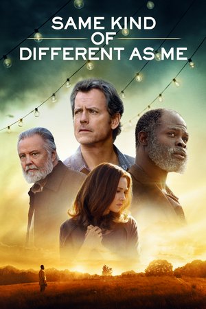 Uno tan diferente como yo, Renée Zellweger,Greg Kinnear,Jon Voight,Djimon Hounsou,Geraldine Singer,Austin Filson,Dana Gourrier,Ann Mahoney,Ty Parker,Olivia Holt