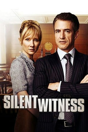 Testigo silencioso, Dermot Mulroney,Judd Hirsch,Anne Heche,Anthony Ruivivar,Lisa Berry,Sarah Allen,Inga Cadranel,Jayne Eastwood,Alicia Josipovic,Shawn Lawrence