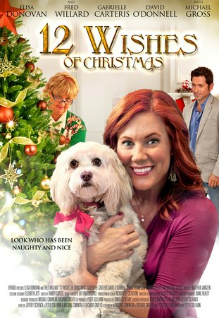 Doce deseos de Navidad, Elisa Donovan, Fred Willard, Michael Gross, Sarah Thompson, David O'Donnell, Richard Gnolfo, Marliss Amiea, Michael Ciminera, Ariana Brown, Gabrielle Carteris