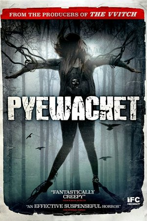 Pyewacket, Eric Osborne,Laurie Holden,Nicole Muñoz,Bianca Melchior,Mikey Brisson,Romeo Carere,James McGowan,Victoria Sanchez,Neil Whitely,Macdonald