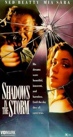 Shadows in the Storm, Ned Beatty, Mia Sara, Michael Madsen, Donna Mitchell, James Widdoes, Joe Dorsey, William Bumiller