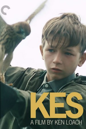 Kes, Dai Bradley,Lynn Perrie,Freddie Fletcher,Colin Welland,Brian Glover,Bob Bowes,Trevor Hasketh,Eric Bolderson,Geoffrey Banks,Zoe Sutherland