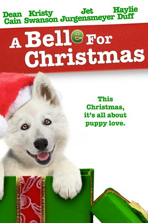 Una belleza para Navidad, Dean Cain, Kristy Swanson, Jet Jurgensmeyer, Haylie Duff, Meyrick Murphy, Avary J. Anderson, Connor Berry, Babs Simmons, Jonathan Guraedy, Christina Mandrell